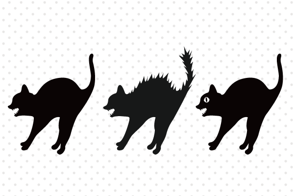 威嚇する黒猫イラスト
