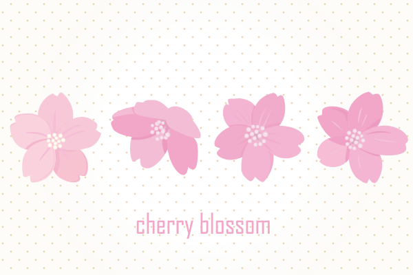 桜の花の無料イラスト