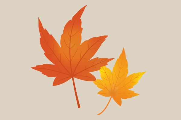 秋を感じさせる楓の葉のイラスト