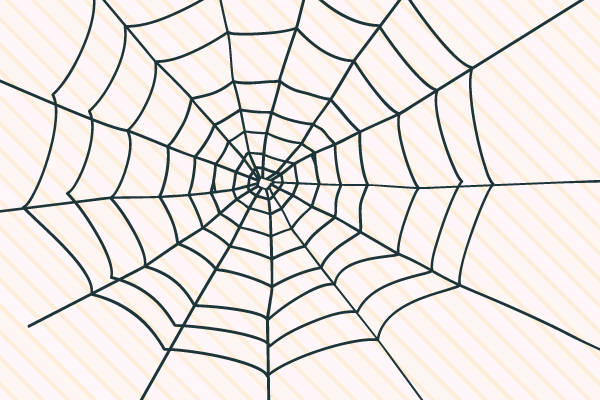 蜘蛛の巣のイラスト Events Design