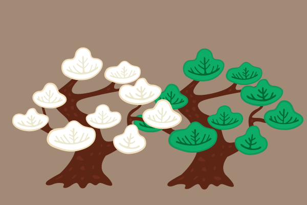松の木のイラスト Events Design