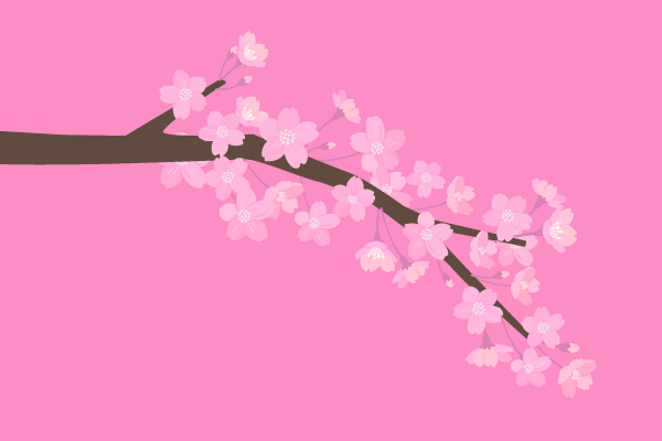 ややリアル系の桜の枝イラスト2